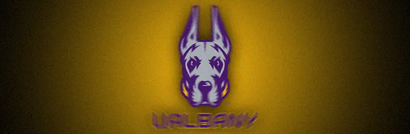 Albany Banner