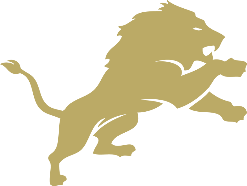 Pope John XXIII NJ Lions Football
